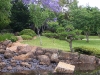 japanese-gardens-thurs-017